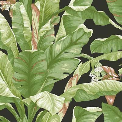 removable-peel-and-stick-wallpaper-by-york-wallcoverings-banana-leaf
